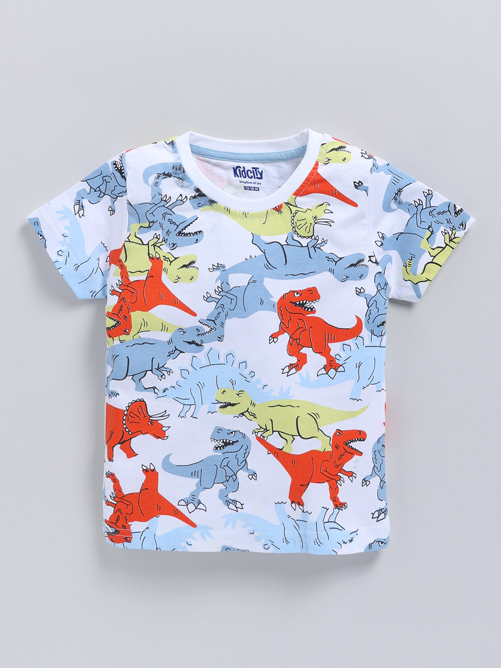 Boy's stripe Fashion T-Shirt 2pc Combo Set