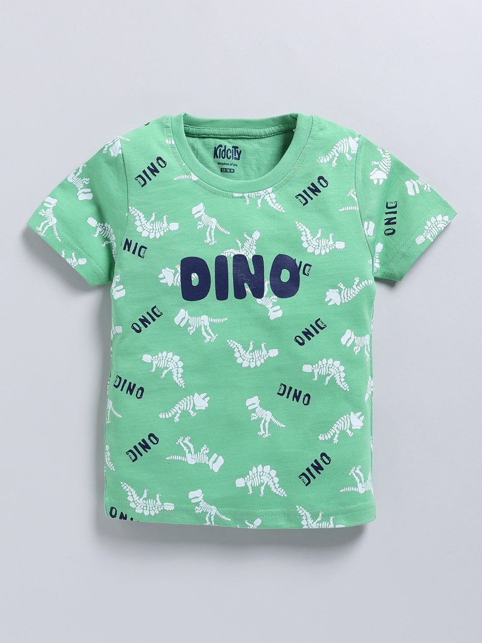 Boy's Fashion T-Shirt 2PC Combo Set