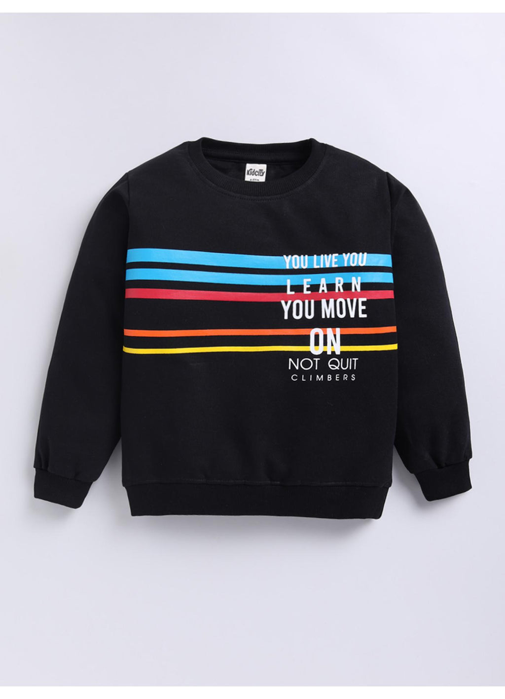Color Block Stripe Graphic Sweatshirt