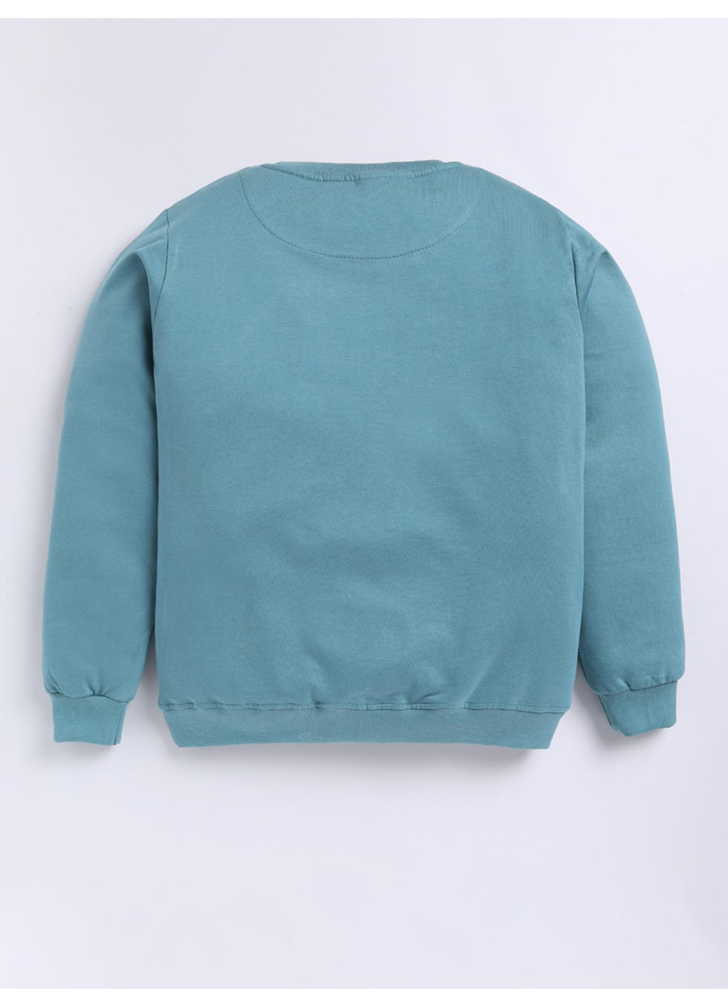Color Block Wild Vibes Fleece Sweatshirt