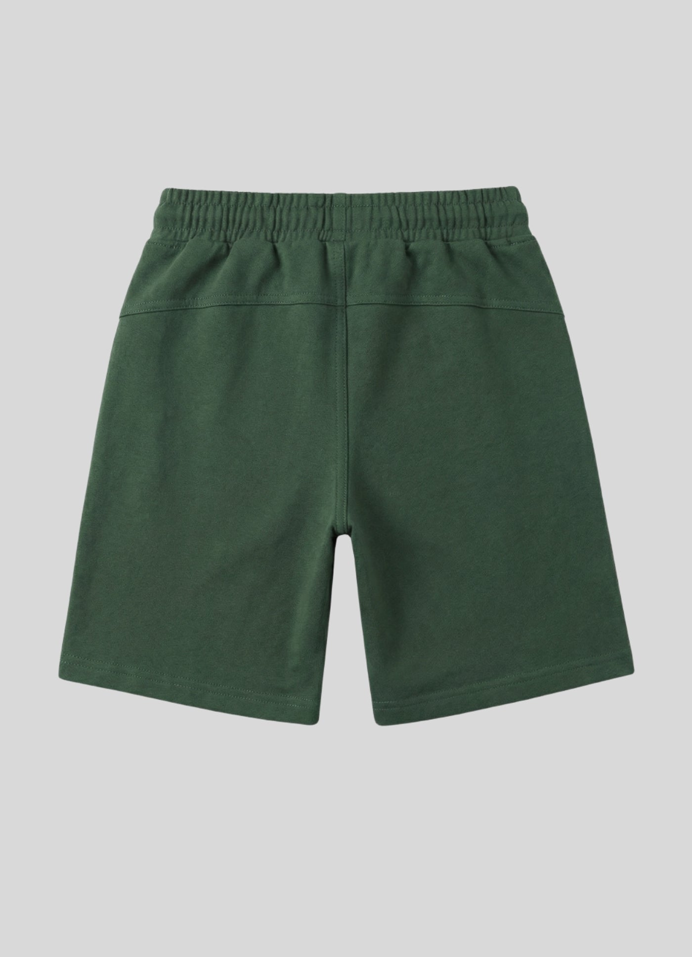 Colorblock Skateboard Turtle Shorts