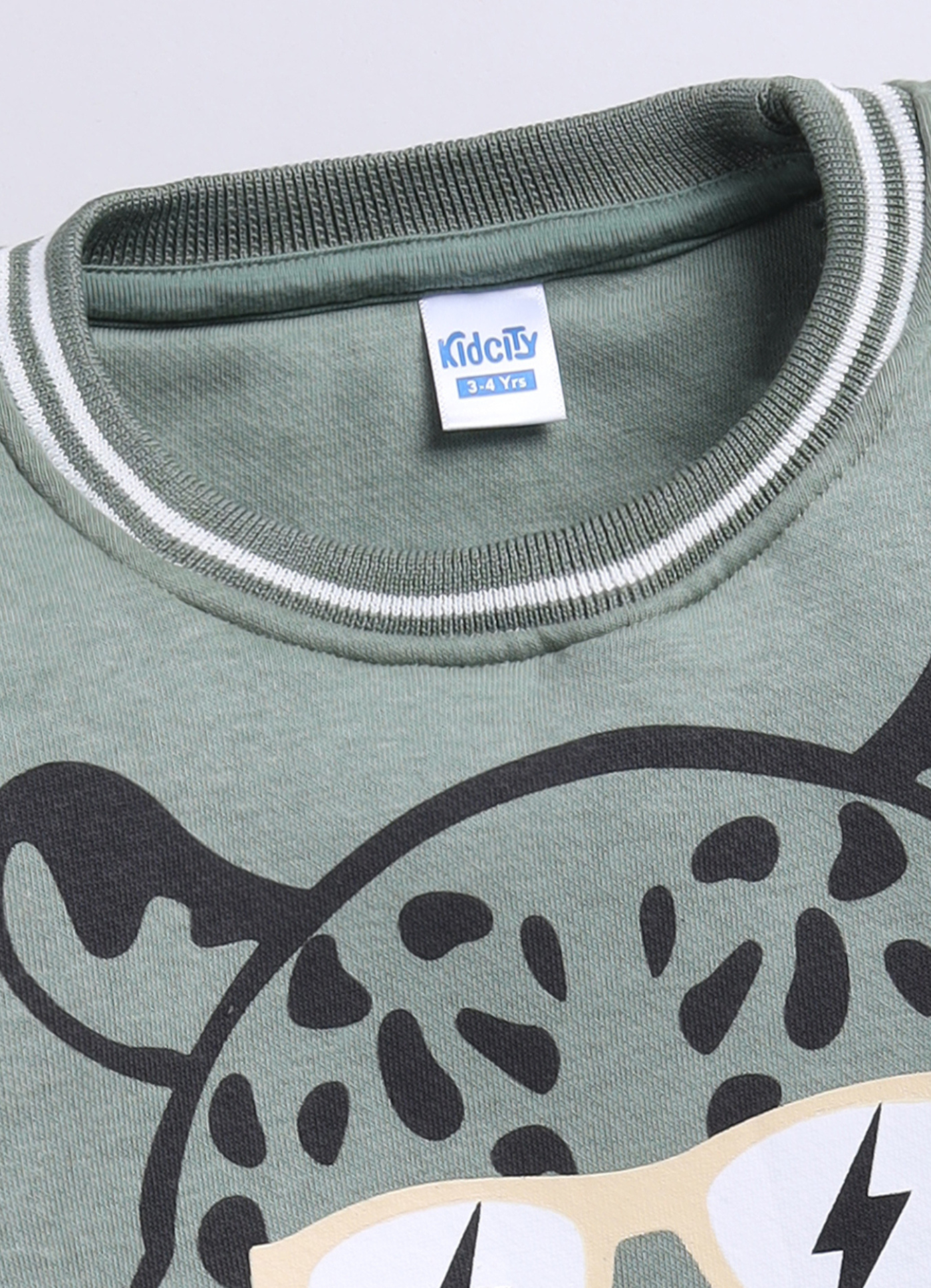 Roarsome' Shaded Leopard Sweatshirt