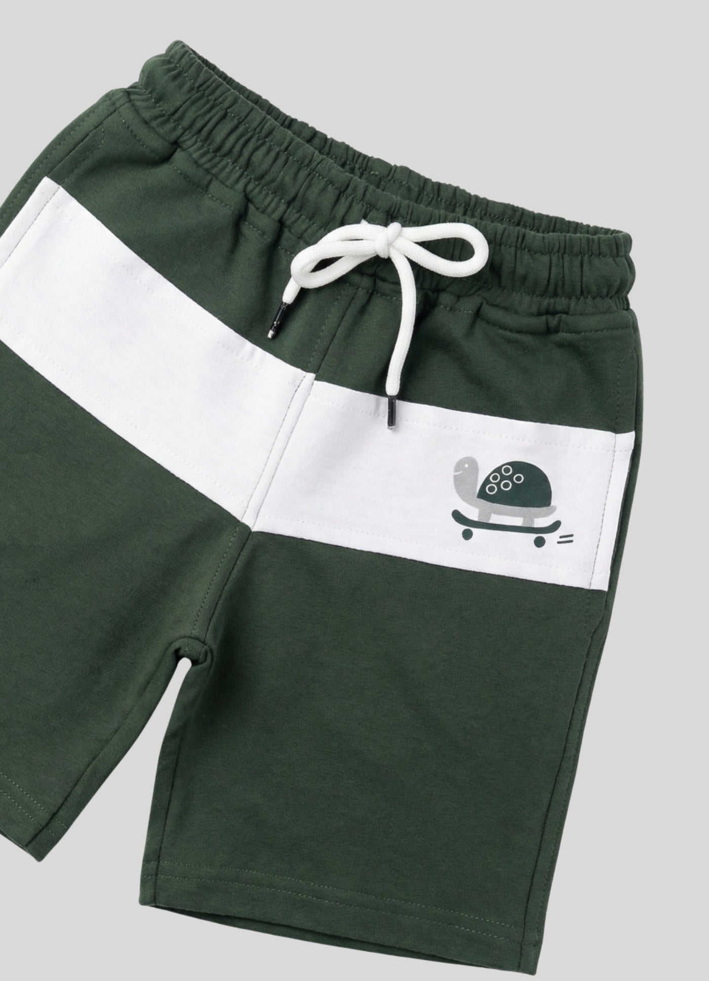 Colorblock Skateboard Turtle Shorts
