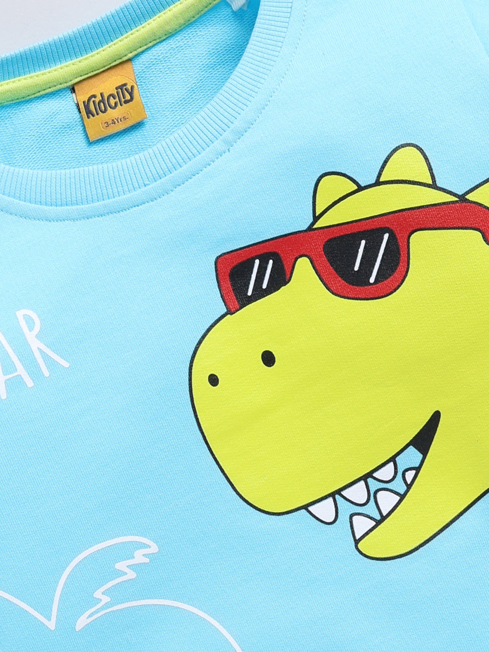 Dinosaur Print Sweatshirts