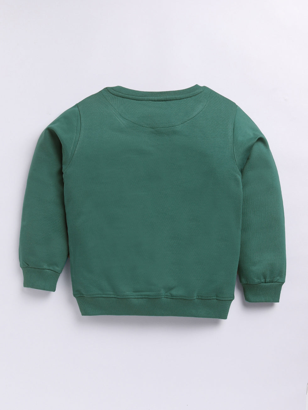 Dinosaur Graphics Printed Sweatshirts