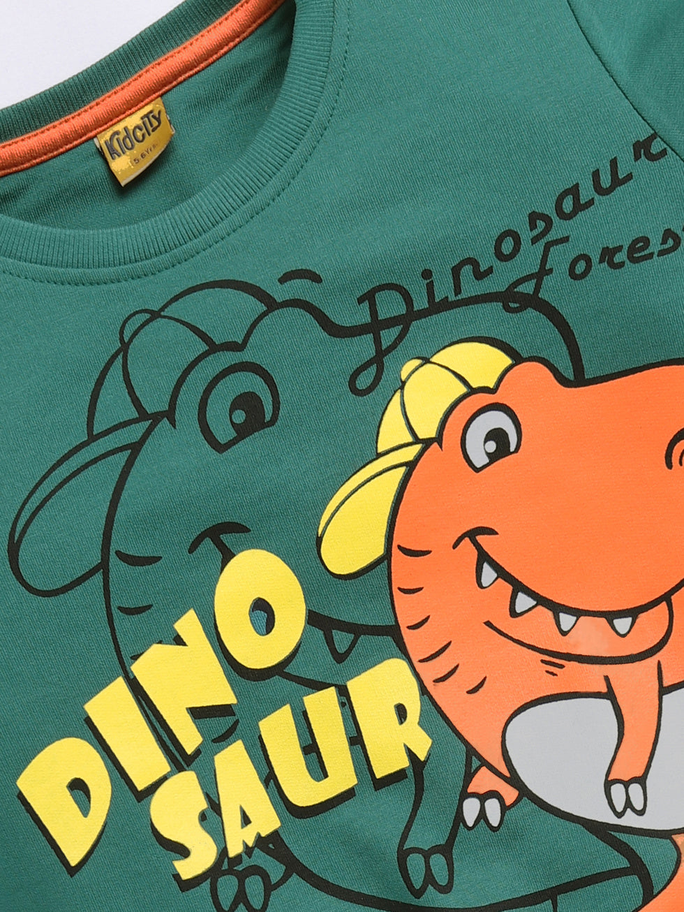 Dinosaur Graphics Printed Sweatshirts