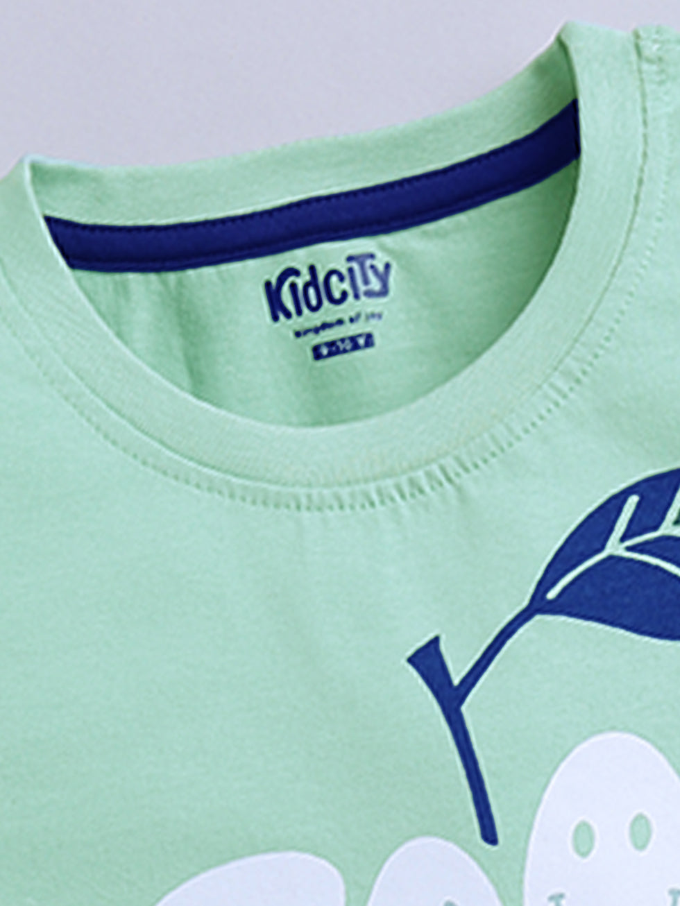 Kidcity Girls Cotton Sinker Good Days Ahead Text Print Half Sleeves Tops - Light Green Zoom View